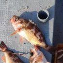 포항시남구장기면양포보건진료소 이미지