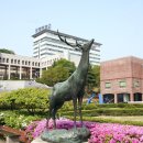 한여름밤의 꿈 이미지