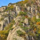 고운초등학교 이미지