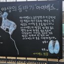 경기도 과천 데이트장소 추천 서울대공원 동물원 온실식물원