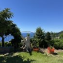 바다가보이는정원민박 이미지