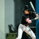 김민지 카카오 검색결과