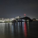 산호대로-4 이미지