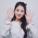 솜이랑