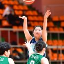 선일체육관 이미지