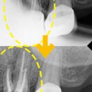 바로본치과의원 이미지