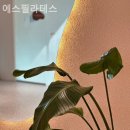 에스필라테스 - 예산군 역전로134번길 8-2 | 에스필라테스