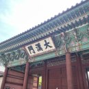 [개포3]우아한 취미 프랑스 자수 | MMCA 덕수궁] 한국 근현대 자수 : 태양을 잡으려는 새들 전시 관람 후기