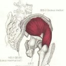 BODY MAKER 이미지