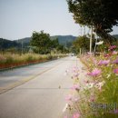 군내면 사무소 네이버블로그