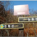 샘물상회 이미지