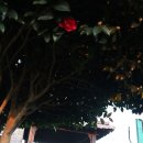 수변공원(1) 이미지