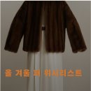 한섬커넥트현대 | 퍼 자켓/코트 위시리스트 (비니터, 베르데마르, 한섬, 막스마라, 에르노)
