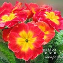 마음자리