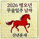 세무회계정인 | [ 2026 병오년 신년운세 ] 무술일주 남자