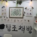 탐조코리아