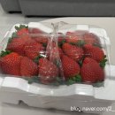 나래청과 - 마포구 월드컵로 235 | 나래청과