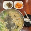 국시앤요기