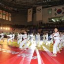 손 태권도 이미지