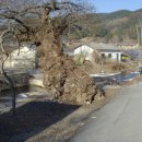 신월마을 진입로 이미지