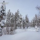(주)멍이사랑 이미지