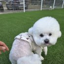 헬로우버디 판교밸리점 이미지