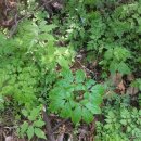 보수농장 이미지