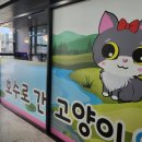 호수로 간 고양이 이미지