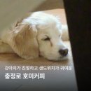 깜장콩커피 | 충정로 카페 호미커피 주말 출근하듯 다닌 샌드위치 맛집