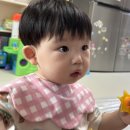 집으로 오는 문센, 방문 미술 &#39;파파덕(papaduck)&#39; 내돈내산 솔직후기(+15개월 아기)