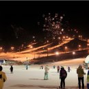 (야간)타로심리상담사 이미지