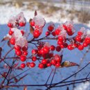 남천산장 이미지