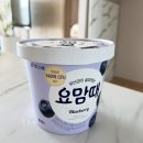 통 | 요맘때 블루베리 통 요거트 아이스크림 후기
