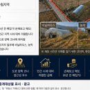 뉴골든공인중개사사무소 네이버블로그