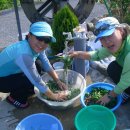 아라리펜션 이미지