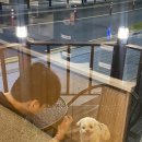 데이롱 카페 연수포레나점