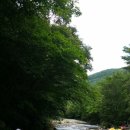 들꽃팬션 앞 이미지