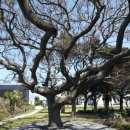 해거름길 이미지