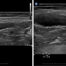 유수의과 동물병원 이미지