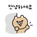 쉐이크테일 강아지 애견 유치원 호텔 미용 네이버블로그