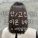 고잔역 | [안산/고잔역] 조이온헤어 서린실장 커트 후기