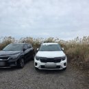 남생이못 습지생태 관찰원 | 제주 닭머르해안길 바람 따라 걷다 만난 억새와 남생이못의 풍경