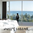 데일리 PC CAFE | 강릉 아비오호텔 숙박/조식 후기, 스위트룸 오션뷰 대만족!