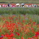 봄비어린이공원 이미지