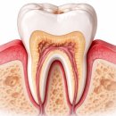 바른이김대식치과의원 이미지