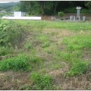 광산구-136 이미지