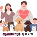 위더스 펫 이미지