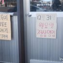 정가네 꽃삼 이미지