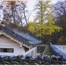신원사 - 1052 | 신원사