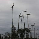 이슬공원 이미지